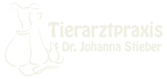Tierarzt Praxis Saarland
